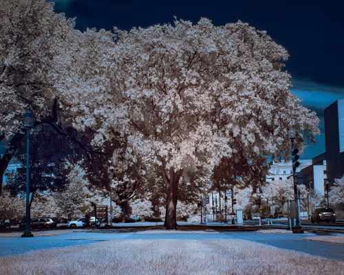 Item #75340696886756274497920048851342379720021686551219289676279668897844736032769 Media