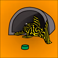 81664083123670143983968740139941474364733981378414170565535211615891553779713