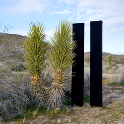 Mike Vensel / Monolithic / Joshua Tree 3
