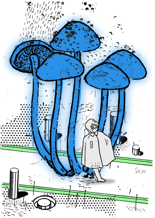 Item #3732961348618835545043843294796998683925681361087041375236008763694782611457 Media