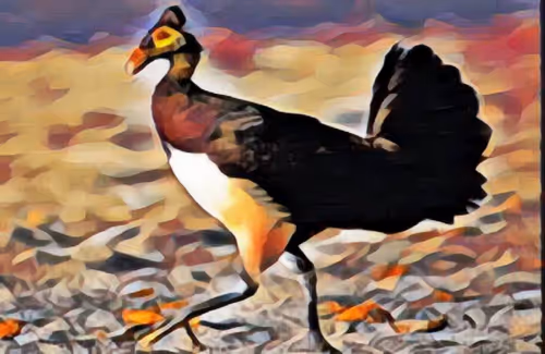 Item #7029108355626708276609613242512971670323934200013949392737625967511419748353 Media