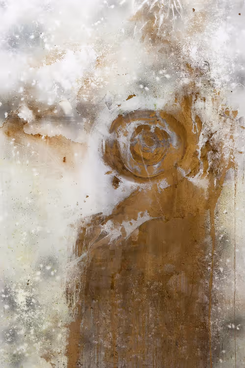 Item #111264774895172989553606282022194155892745764425417346937131400119049112256513 Media