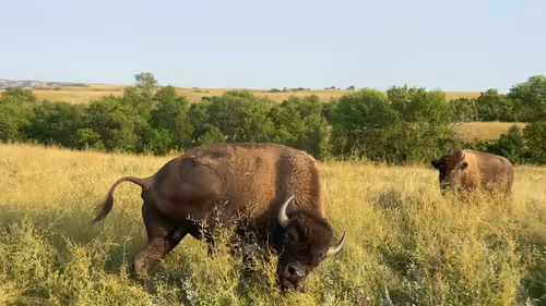 Item #105089968166921690156624725616502706642431777719922472152070405717264733044737 Media