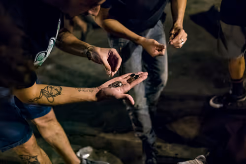 Item #28410794678939122859492626871196116087705428262137093470030241698745623248897 Media