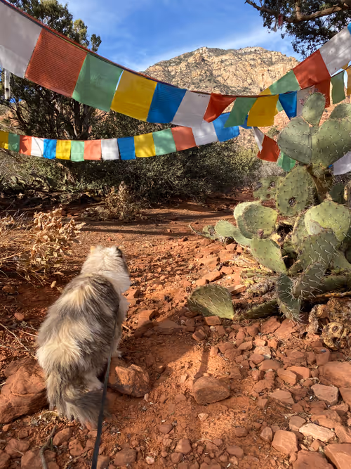 Item #88063557034118437660925886446302507819426649905583175627315428967405466943489 Media