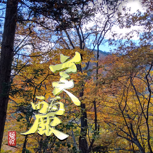 Item #102967229630208760737688806604411354727385978550035448281008295675145480044545 Media