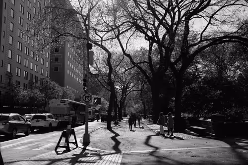 NYLife B&W Photography