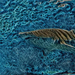 103874816305403822167143416560650366709622693202541770444072571234282909990913