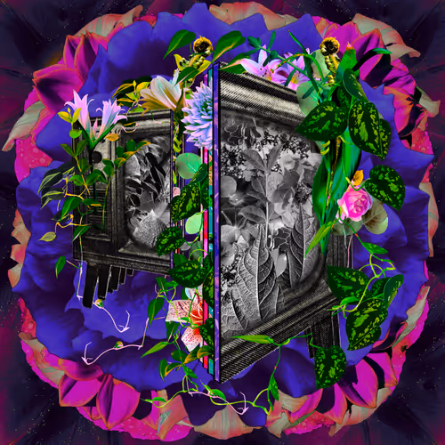 Item #48492224125278853539213911528912924610870321163069310956764398818915667410945 Media