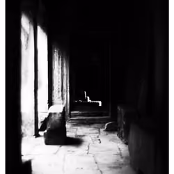 White Shadow