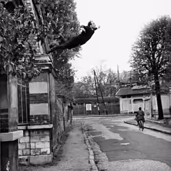 Saut dans le Vide