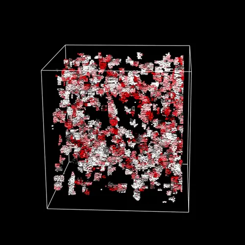 Item #76477907301278796608859036519063341014600640660075023904303767497617560305665 Media