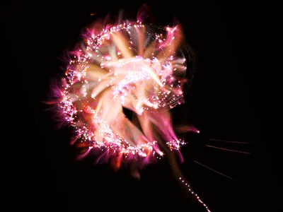 45731211464929816441170859700976373292149702980452148839612469023775377063937