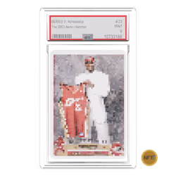 NFT.CARDS : SERIES 3 : #Pixelslabs : #23 : The 2003 AKRON HAMMER