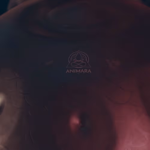 santa_handpan_animara Collection