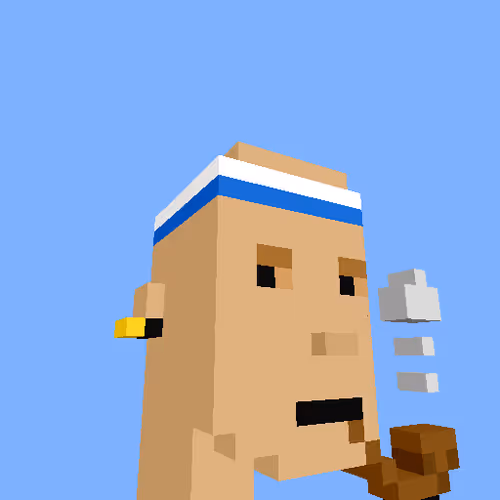 PunkVoxels #7150