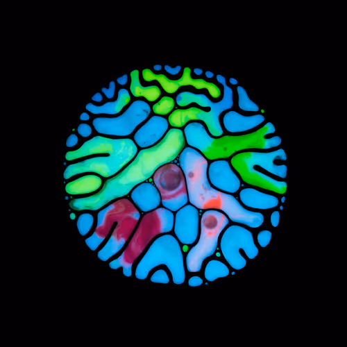 Haematopoiesis #60