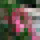 21109921093470406401824847008361548835282314561901601863669896955765960212481
