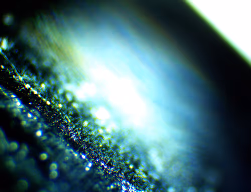 Item #71646257518770613568983710813551014237803002136866425209291834463899703312385 Media