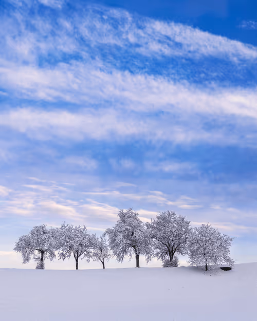 Item #82038507178112004707132471695972498506825775528903589266831690705158134562817 Media