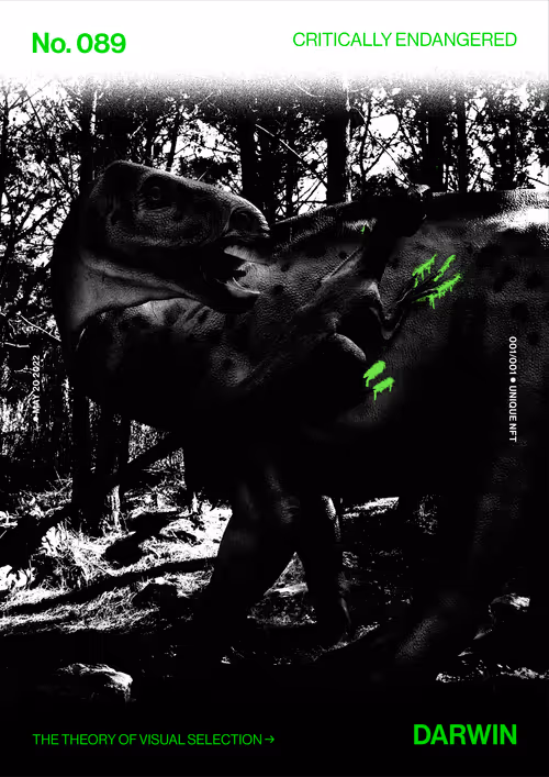 Item #5978613787773959064064561136939516829698711004901919756353002711362381545473 Media