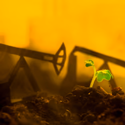 Impact of mining on nature №30 of 33