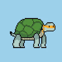 Turtle #053