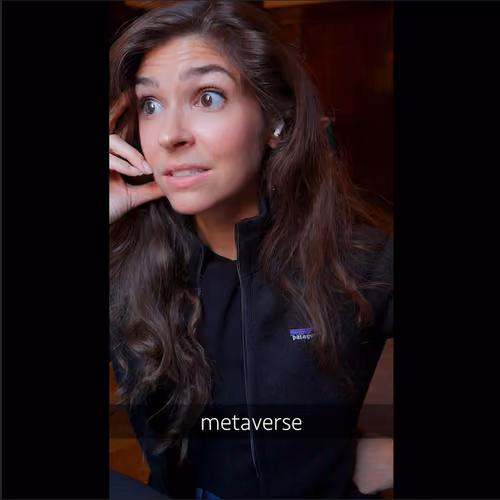 metaverse