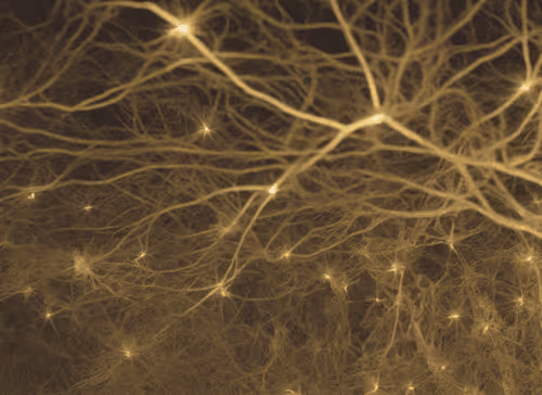 Item #98695163844141812296559601516468632585703412525772017875852753116426856824833 Media