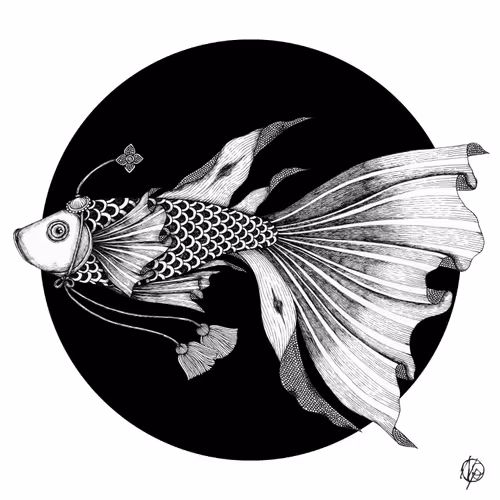 Betta Black & White no.02
