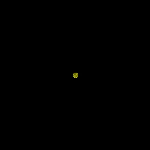 Physarum #056