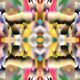 84166766831979456547517341543068149091229272669726785321432478016784010575873