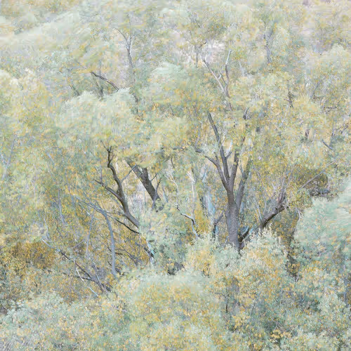 Item #111819353391232385355292732865064309059161123936801669989557009007508866465793 Media