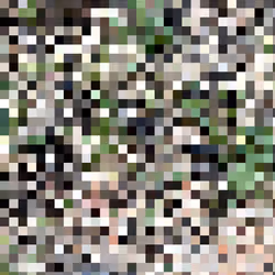 2850415134272365380187775685678842410458265265709128331682257640416188825601