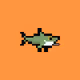 Shark_Weird Collection