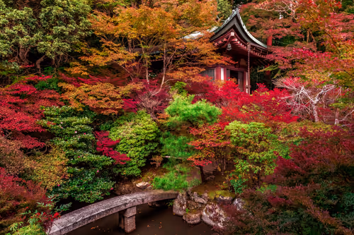 Item #105679162715773690367894814568251153202929894369313826483118647836693927821313 Media