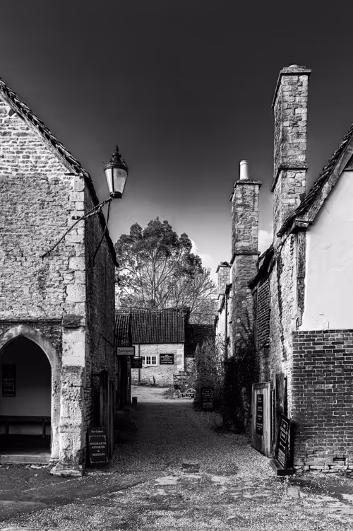 Item #95930744612989253264341458363878669706731092846429446161851758963064311906305 Media