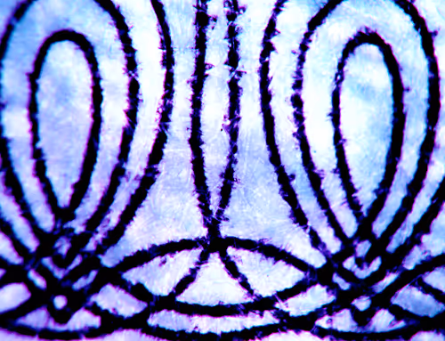 Item #71646257518770613568983710813551014237803002136866425209291834012000424296449 Media