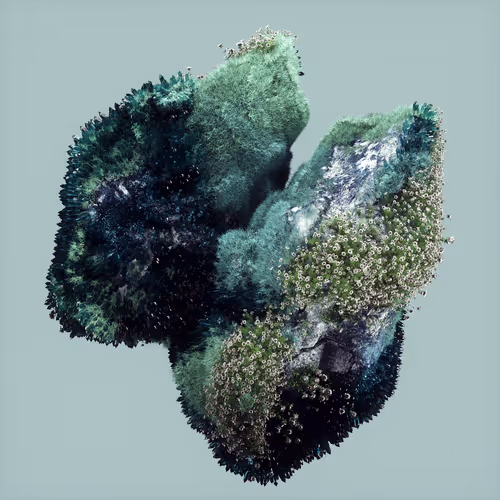 Item #29025029791859050124720480462956340608557292548544538512690378033603511582721 Media