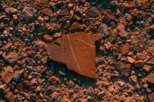 Item #114811274637415184749470657714518151461096914126827547928233536499232626704385 Media