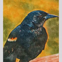 55704534837685659622621715309832868758345944585427688586690141421261413154817