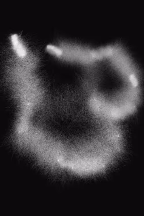 Item #36185115416937002872505001181703259709502937495131575006205630207271458832385 Media