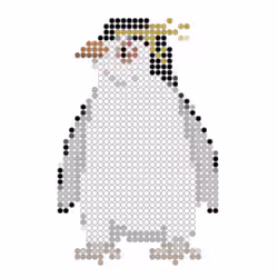 Royal penguin (Eudyptes schlegeli) #9