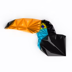 Toucan Colourful