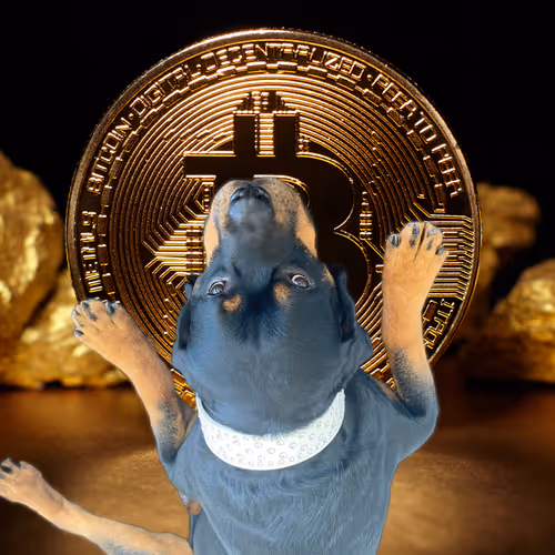 Rottweiler Prince Rocky wants his Bitcoin