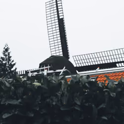 Forgotten house and windmill 2