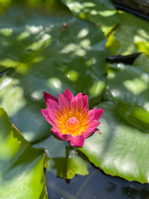 Item #43599453478370988102971168960404048687170916743246222934693760607377753636865 Media