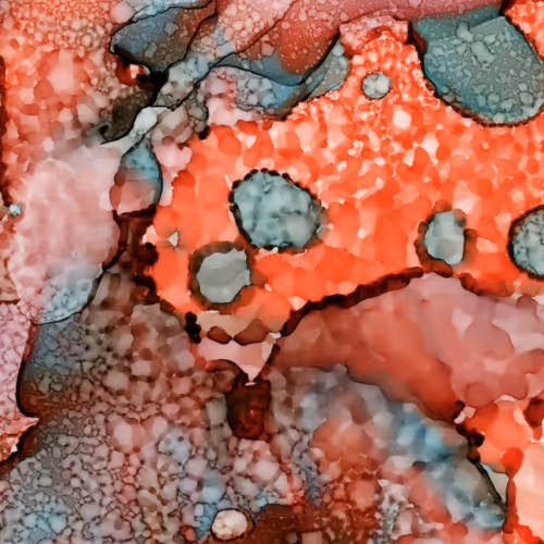 Item #29520418552145809798583464197808626937236403153754494126203225301170094342232 Media