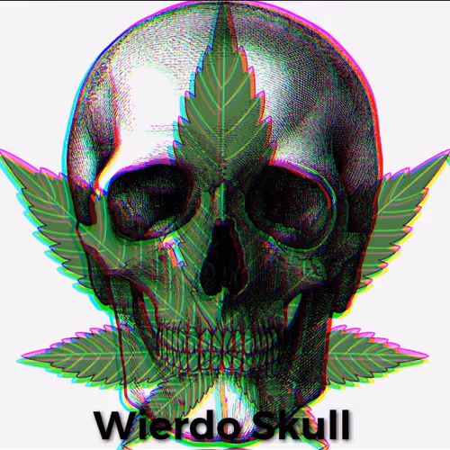 wierdo Skull #602