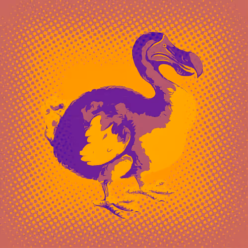 Item #17635803375648012338610213380030160191715370757553255260744606435997531504641 Media